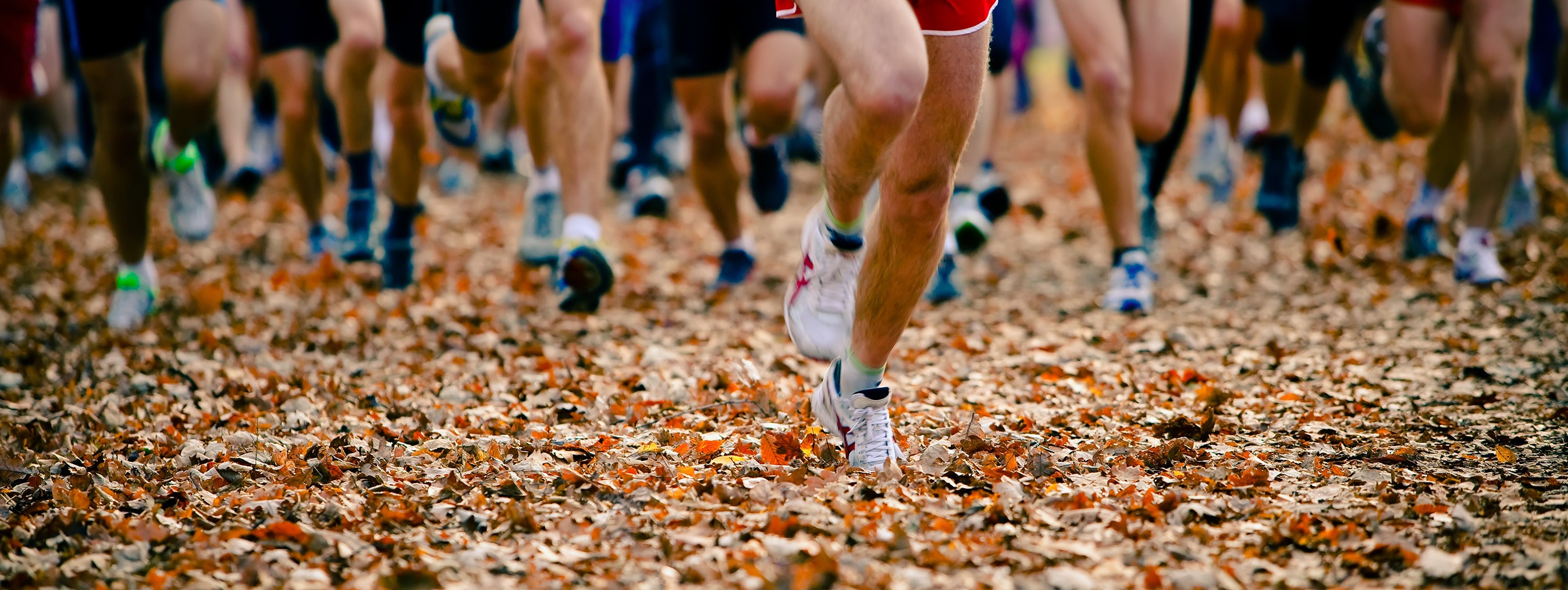 Runners running through leaves