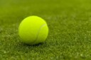 Tennis ball on a grass court