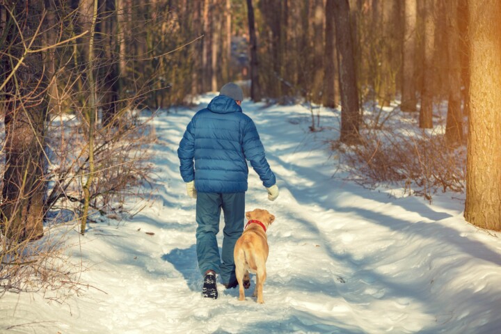 Man walking his dog on a snow covered trail in the forest.
