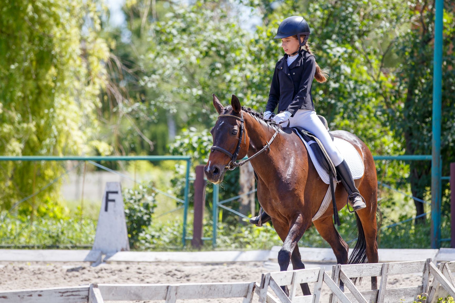 Young female equestrian athlete competing.