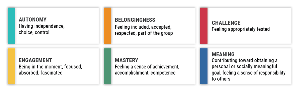 The 6 building blocks 1. Autonomy: Having independence, choice, control 2. Belongingness: Feeling included, accepted, respected, part of the group 3. Challenge: Feeling appropriately tested 4. Engagement: Being in-the-moment, focuses, absorbed, fascinated 5. Mastery: Feeling a sense of achievement, accomplishment, competence 6. Meaning: Contributing to obtaining a personal or socially meaningful goal, feeling a sense of responsibility to others