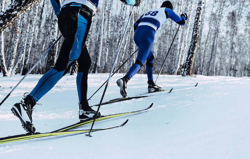 Two cross-country skiers racing in the forest.