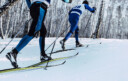 two athletes skiers move in cross country skiing