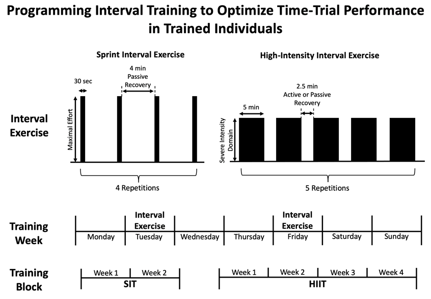 Figure 2 summarizes the results of the meta-analysis by illustrating the optimal intervals and repetitions described in the conclusion. In addition, this figure recommends how to stagger interval exercise into a training week (for example, Tuesdays and Fridays) and training blocks (for example, SIT should be performed for only 2 weeks, and HIIT should be performed for 4 weeks).
