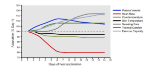 Figure 2. Time course of adaptations related to exercise heat acclimatization. (Périard et al., 2021)