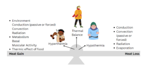 main factors of thermal balance